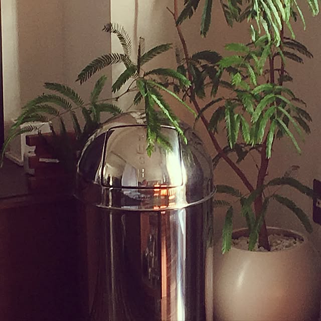 sa-さんの実例写真