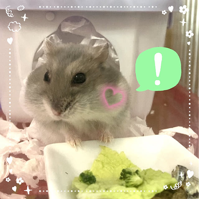 milkさんの実例写真