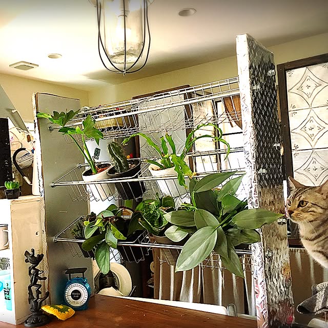 romiさんの実例写真