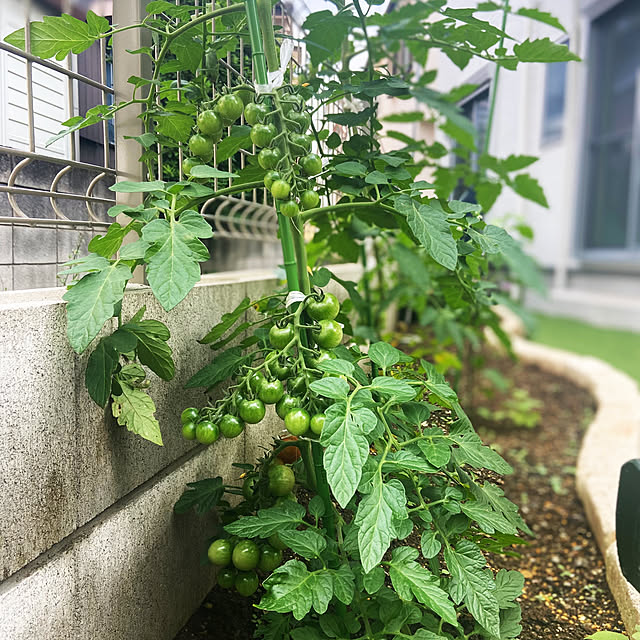 Haruさんの部屋