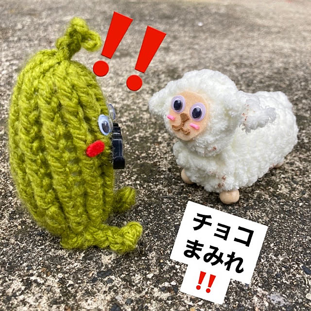 manduonmaさんの実例写真