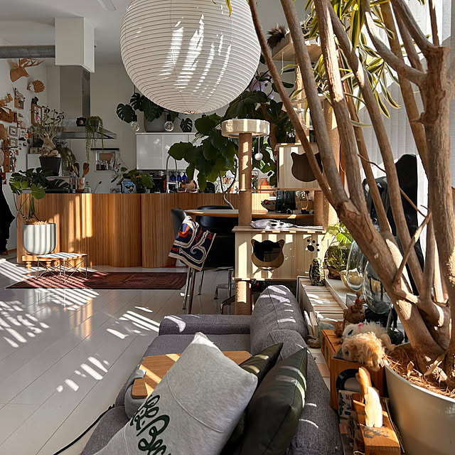 nonononakaさんの実例写真