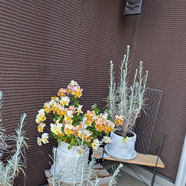 KOHAKUさんの実例写真