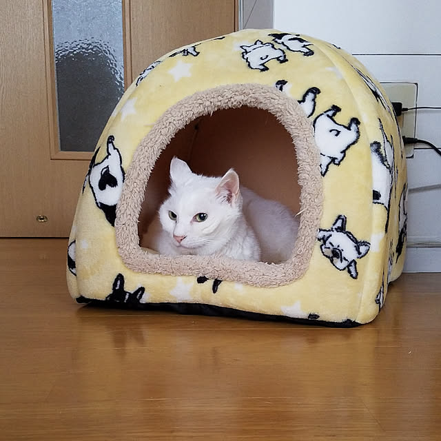 Kinanさんの実例写真