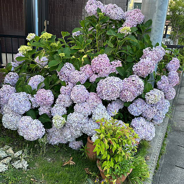 ritsukoさんの部屋