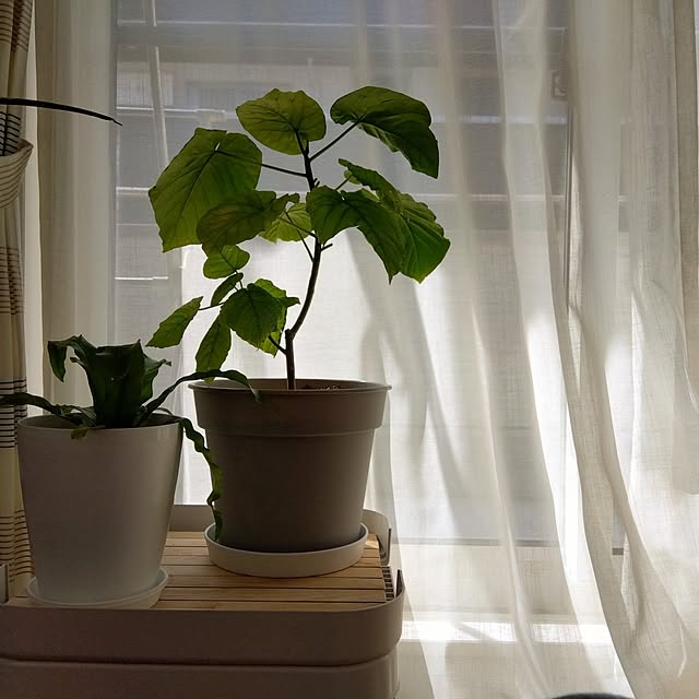 jun_y32_homeさんの実例写真