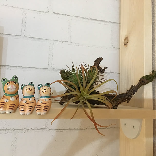 soraraさんの実例写真