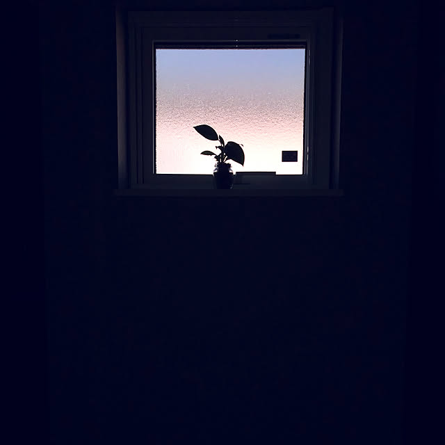 saran0208さんの実例写真