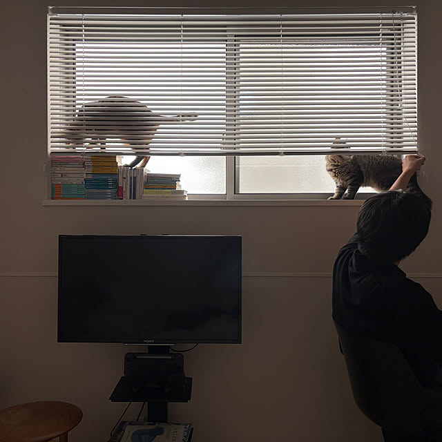 haluさんの実例写真