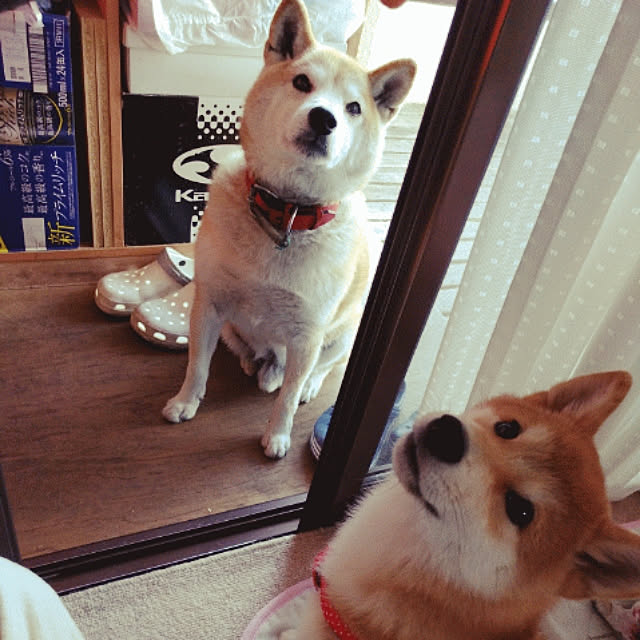 ssmさんの実例写真