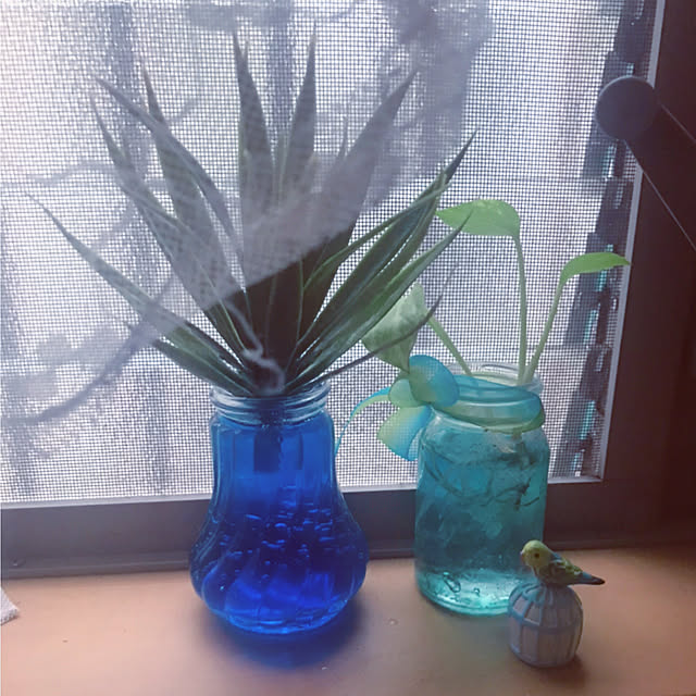 portulacaさんの実例写真