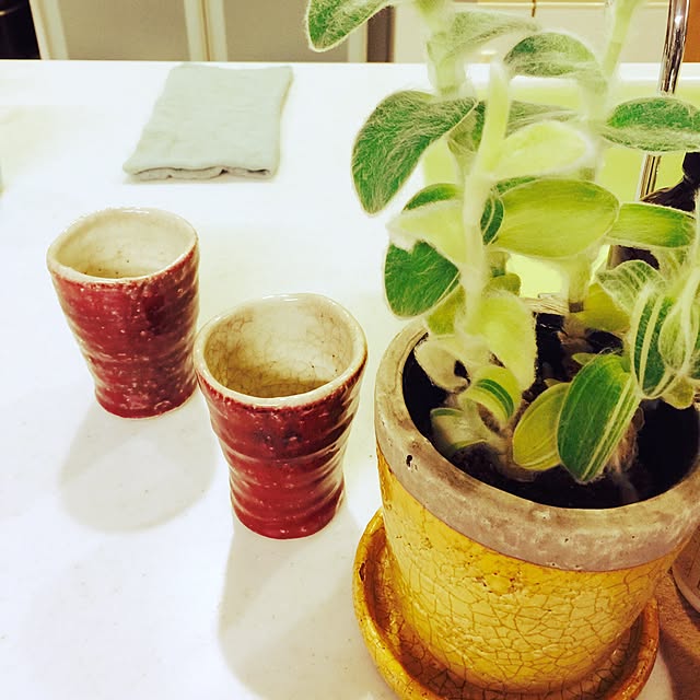 marley0209さんの実例写真
