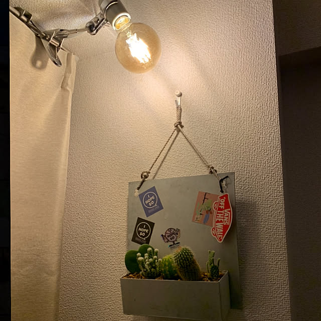 観葉植物/観葉植物のある暮らし/サボテン/ホヤ/照明...などのインテリア実例 - 2022-03-13 13:26:21
