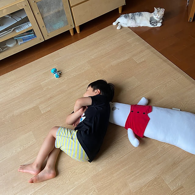 hansho.sさんの実例写真