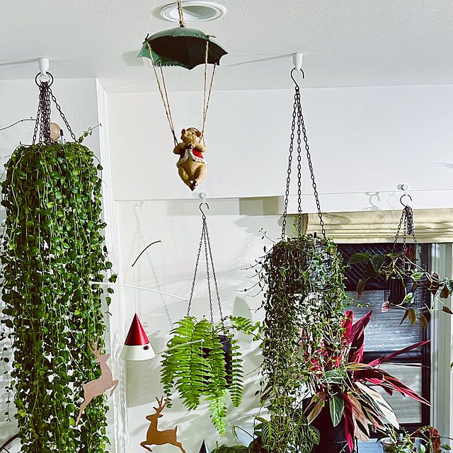 DAYONEさんの部屋