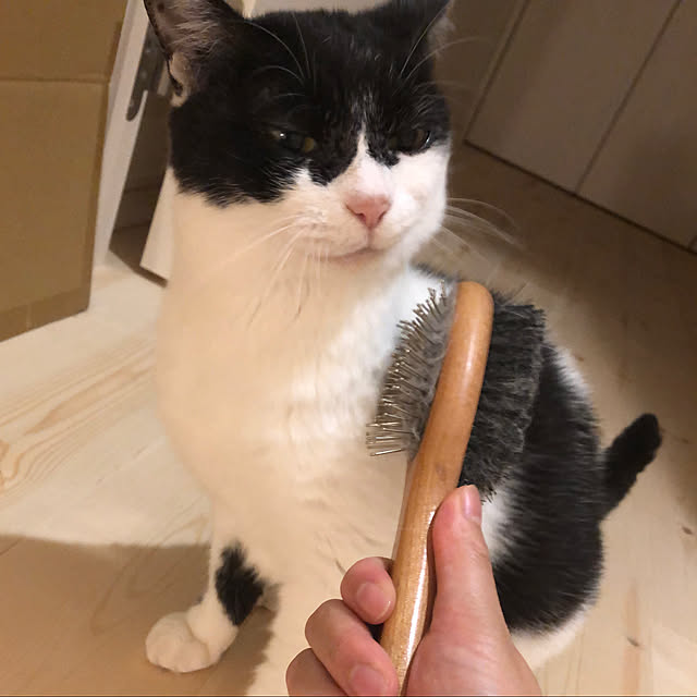megu123さんの実例写真