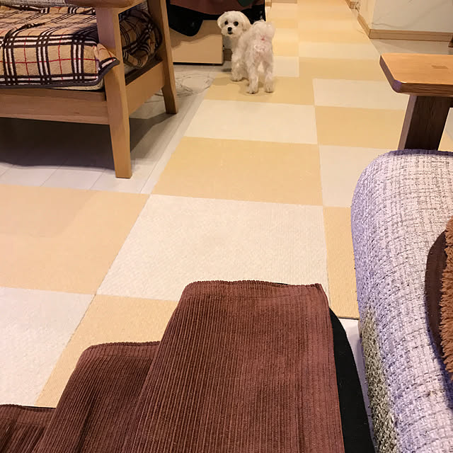 maru-cheeさんの実例写真