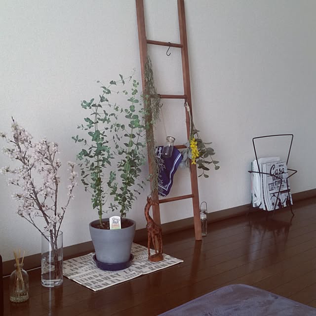 pinkoさんの実例写真