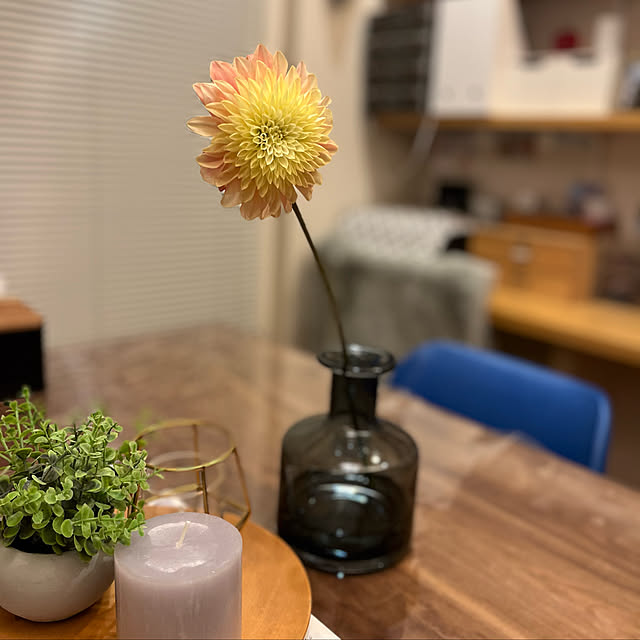 cooさんの実例写真