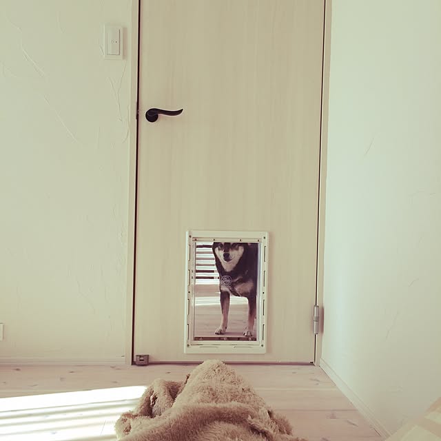 fmefme1さんの実例写真