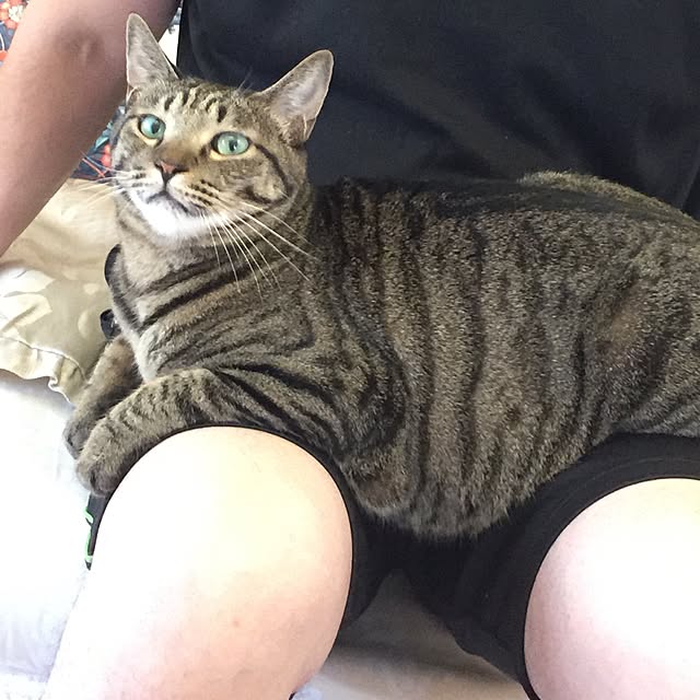 kyoさんの実例写真
