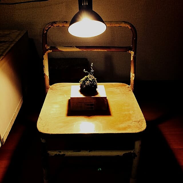 chiakinchoさんの実例写真