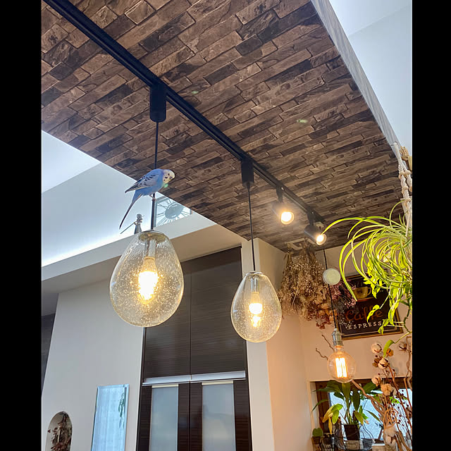 cocochiさんの実例写真