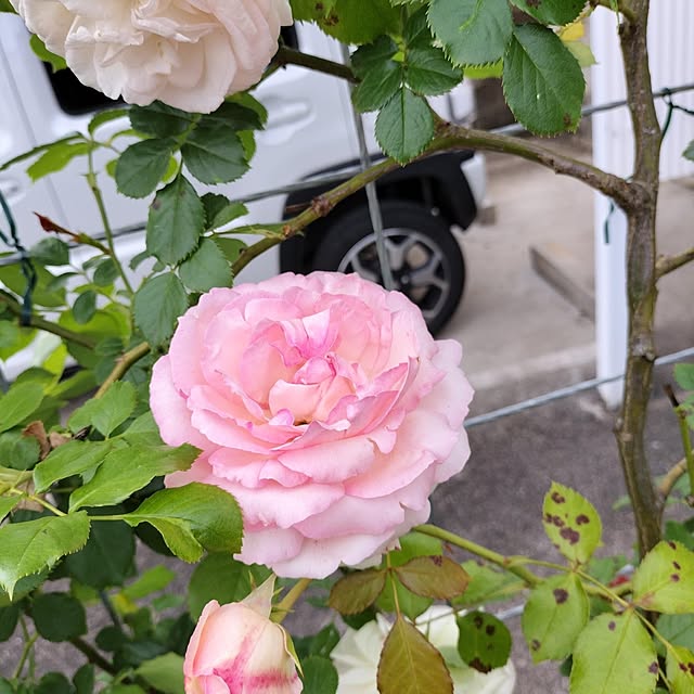 sumimarumiさんの部屋