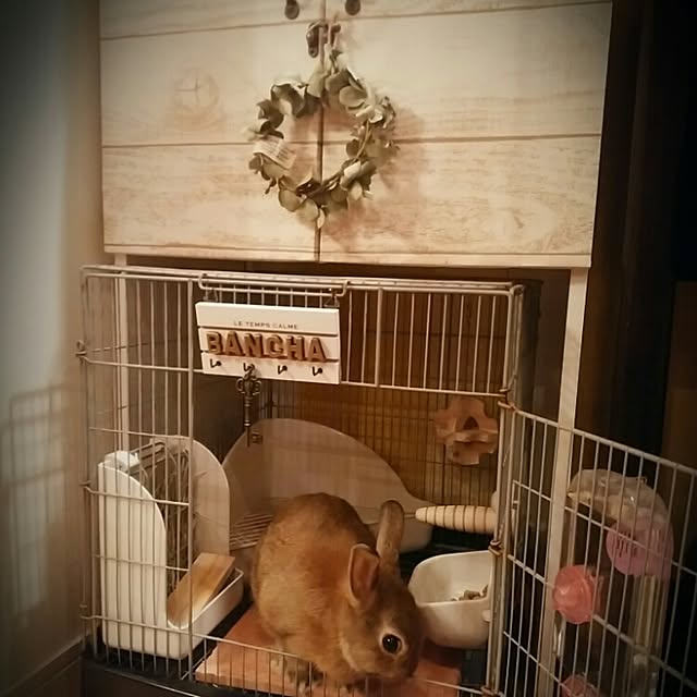 ChocolateNandasさんの実例写真