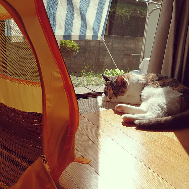 fukuさんの実例写真