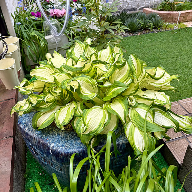 puriyuzuさんの部屋