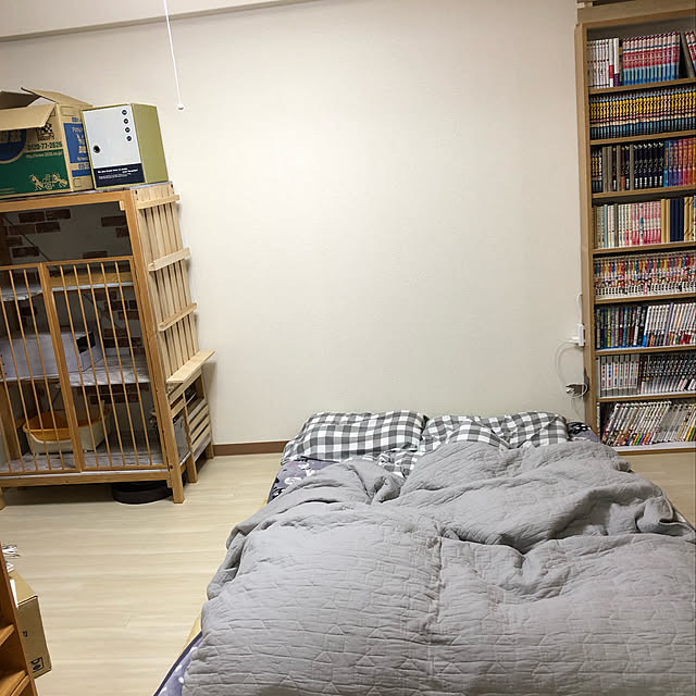 soraさんの実例写真