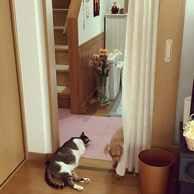 haruminさんの実例写真