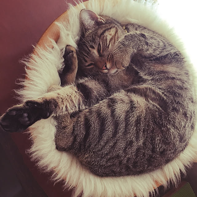 Mさんの実例写真