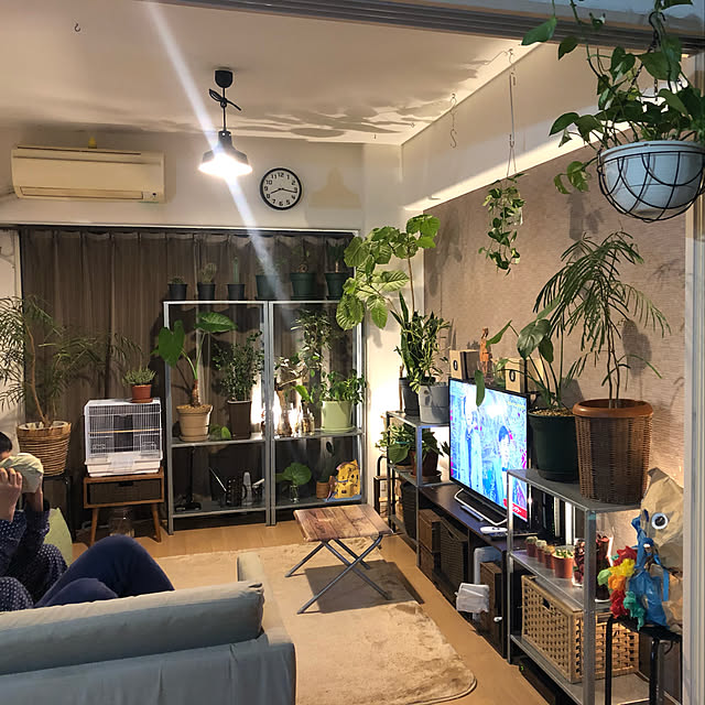 plants.fjkさんの実例写真