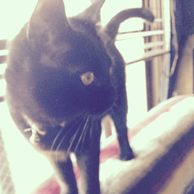 Naoki.さんの実例写真