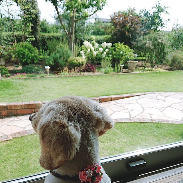 cocoさんの実例写真