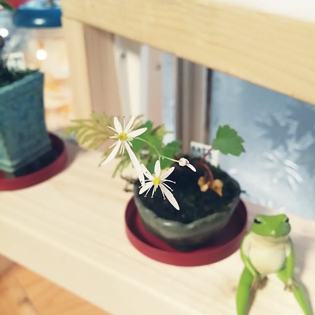 hana.1321jpさんの実例写真