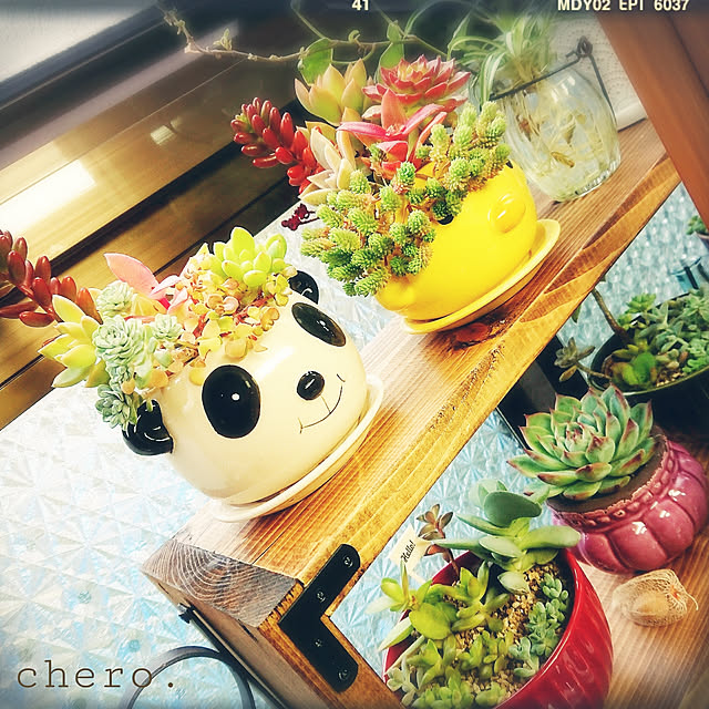 chero.さんの実例写真