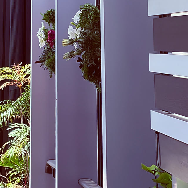 chacoさんの部屋