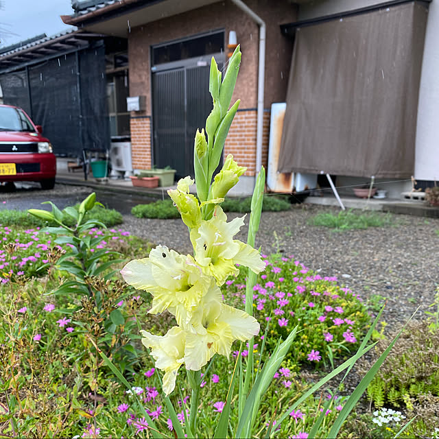 Alzさんの実例写真