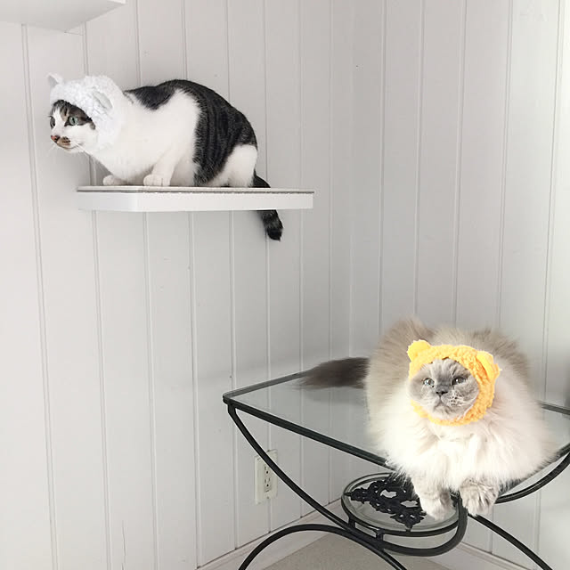 yuchiさんの実例写真