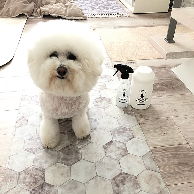 unichanさんの実例写真