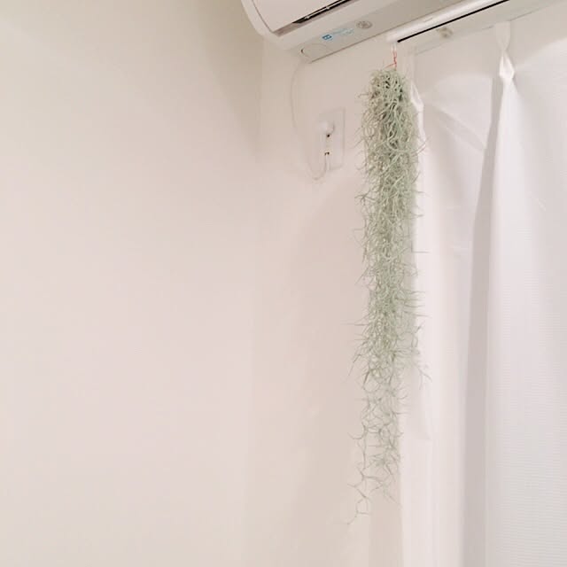erinaさんの実例写真
