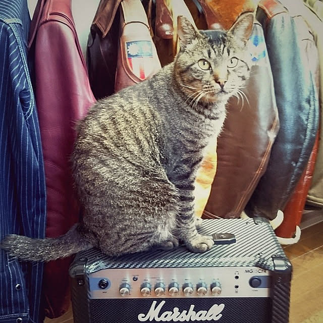 ken.kawakamiさんの実例写真
