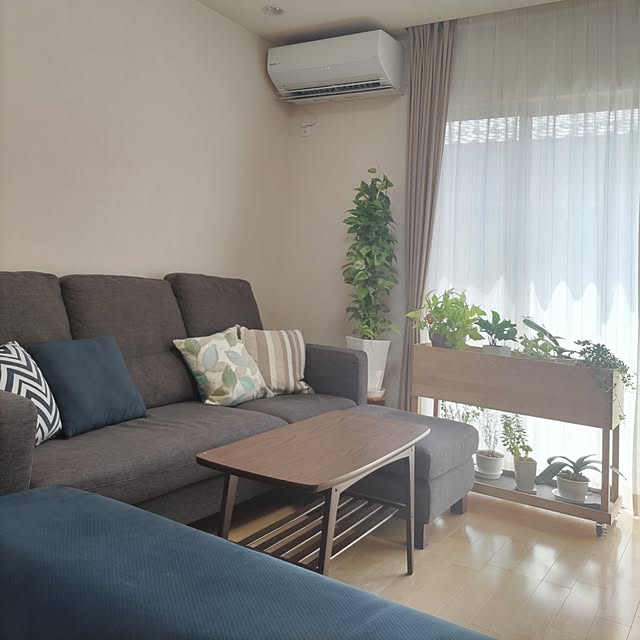 akiwaka-roomさんの部屋
