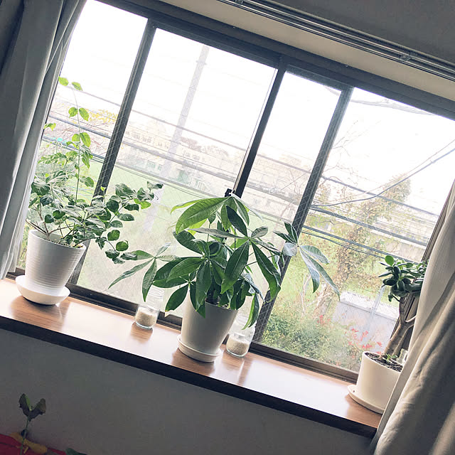 sunshine321さんの実例写真