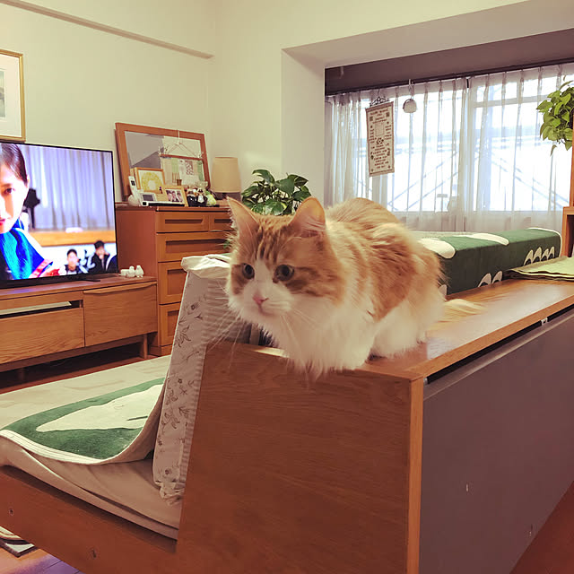 uchidaizuさんの実例写真