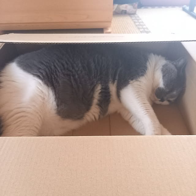 rhuさんの部屋