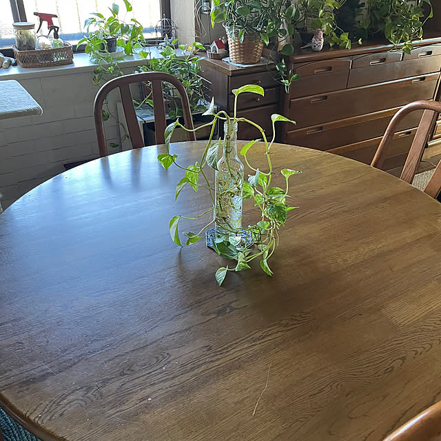 机/観葉植物のインテリア実例 - 2023-10-13 10:25:39